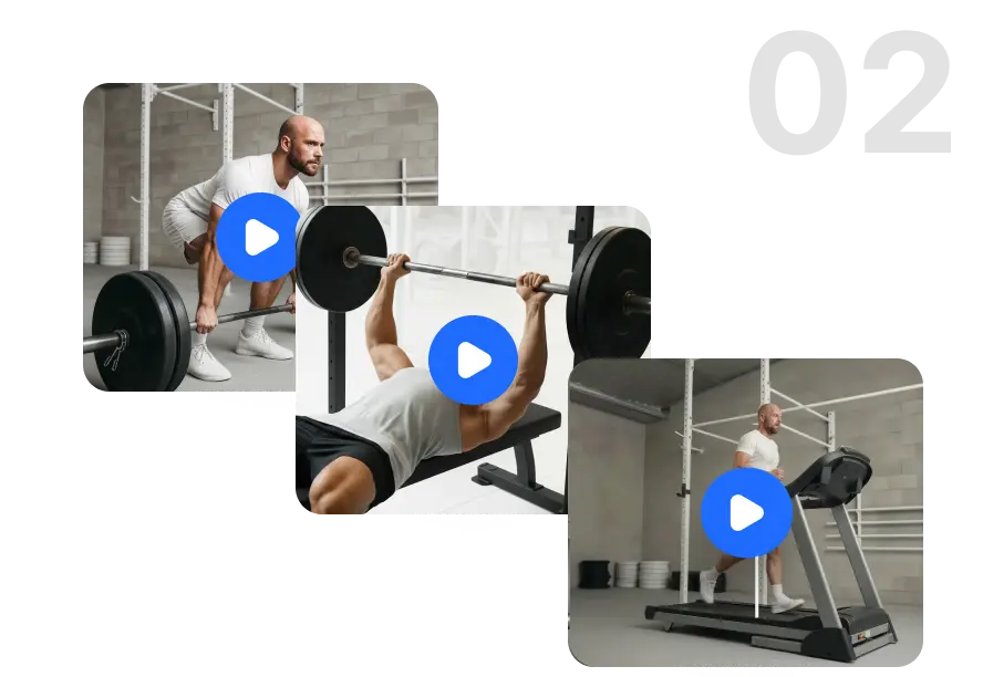 Workout programming exercise library