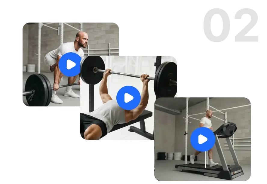 Biblioteca de ejercicios para planificar entrenamientos