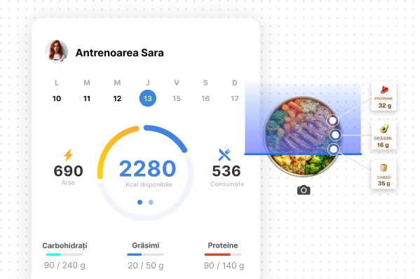 Software de monitorizare a alimentației